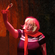 The Lady Will Have Image